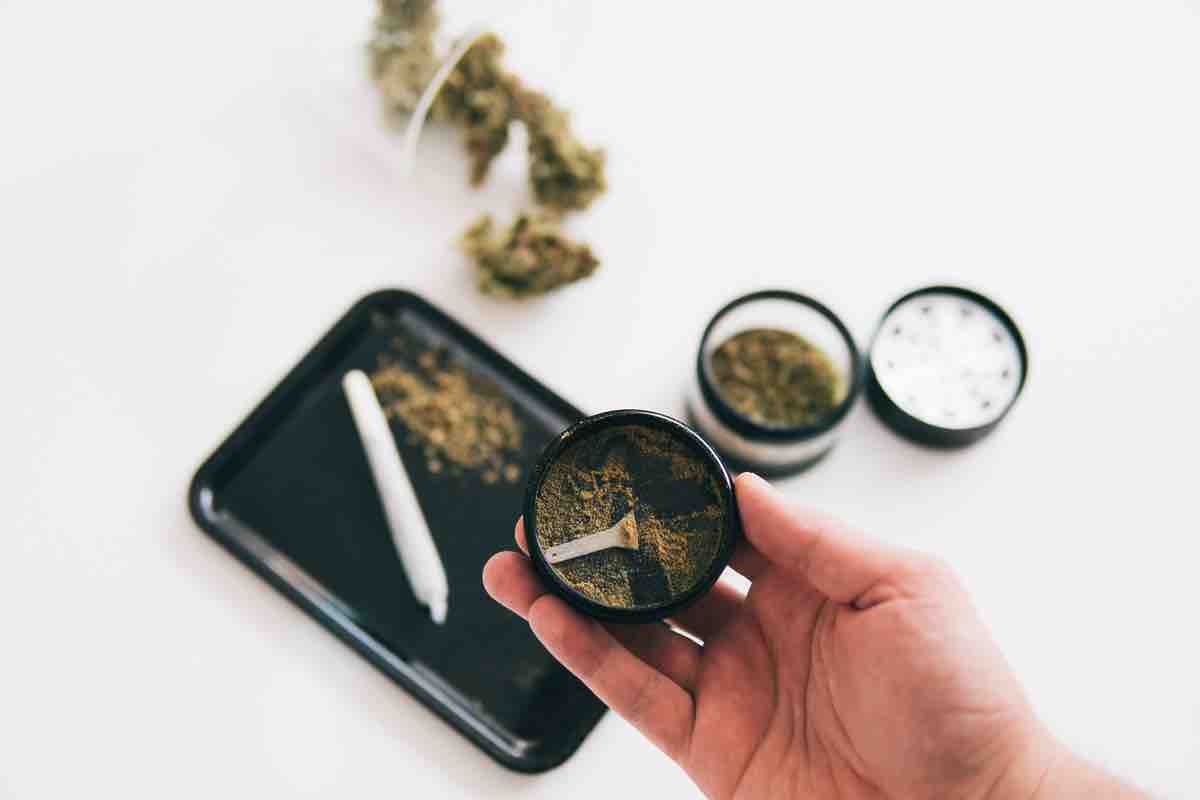 How to Collect Cannabis Kief