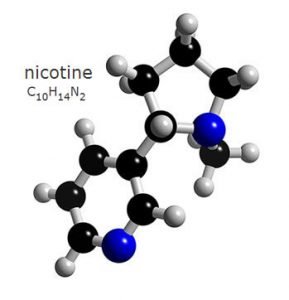 nicotine addiction addictive behind science chemical does long stay body system smoking explained effects why