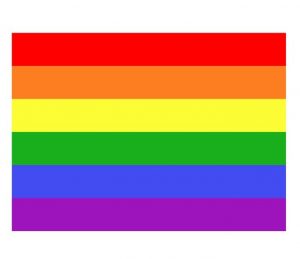 LGBTQ+ flag small