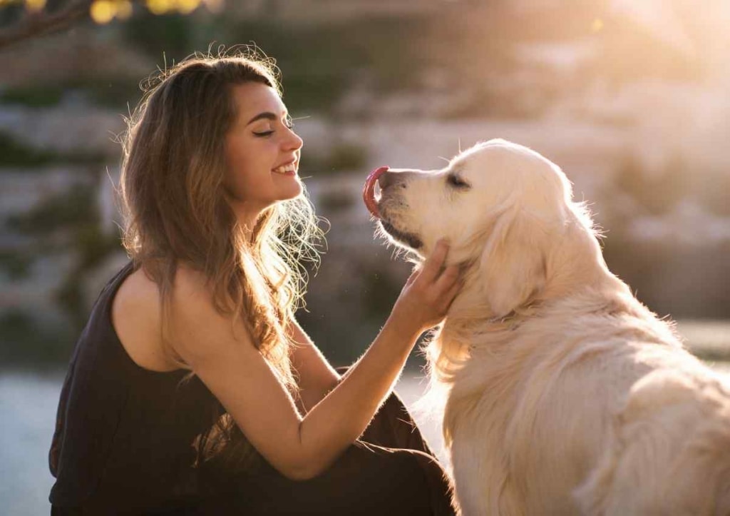 Woman with her dog playing outdoors image