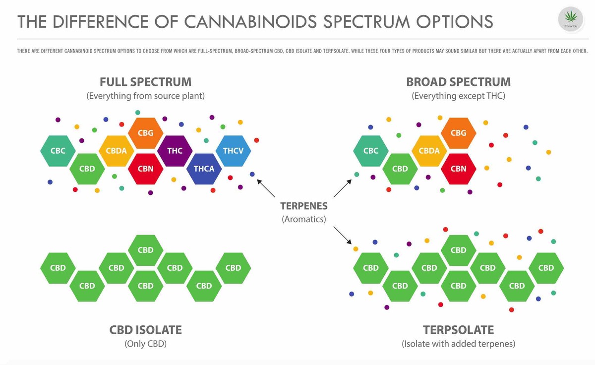 Difference of Cannabinoids Spectrum Options