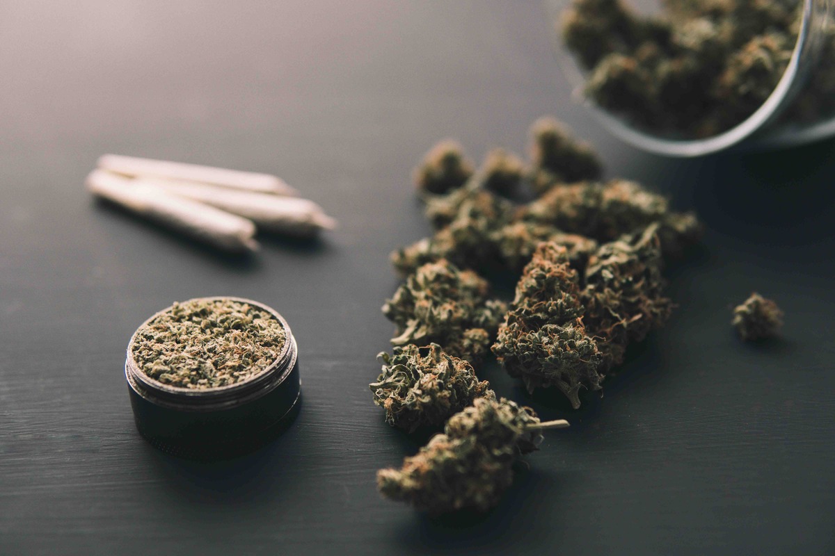 Cannabis buds, grinder with fresh marijuana