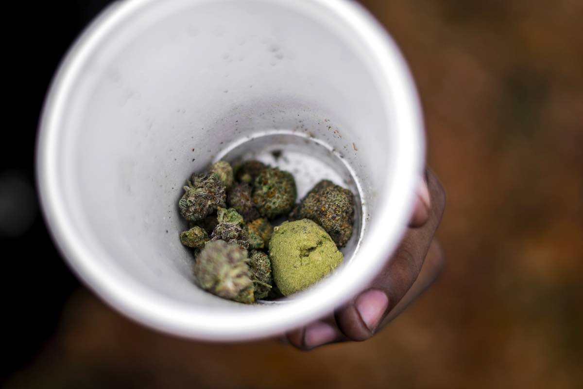 Various Cannabis Exotic Buds and Moonrocks