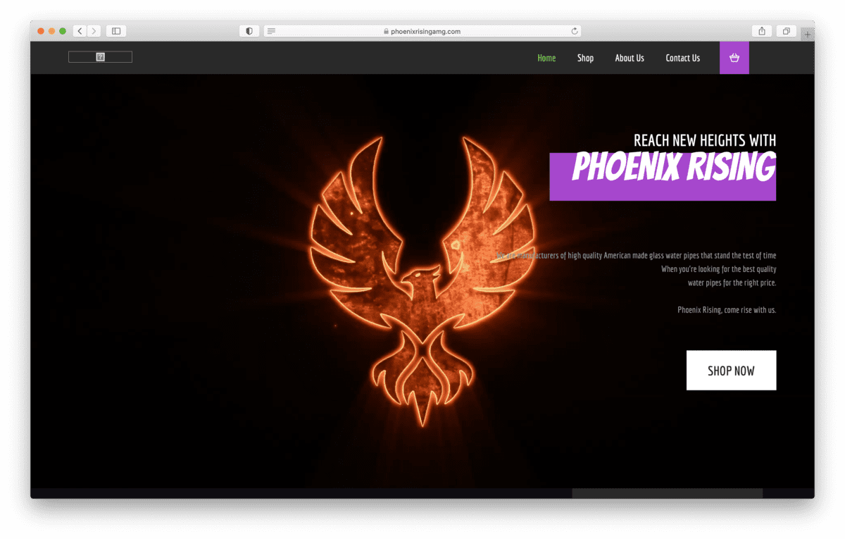 phoenix rising amg brand review