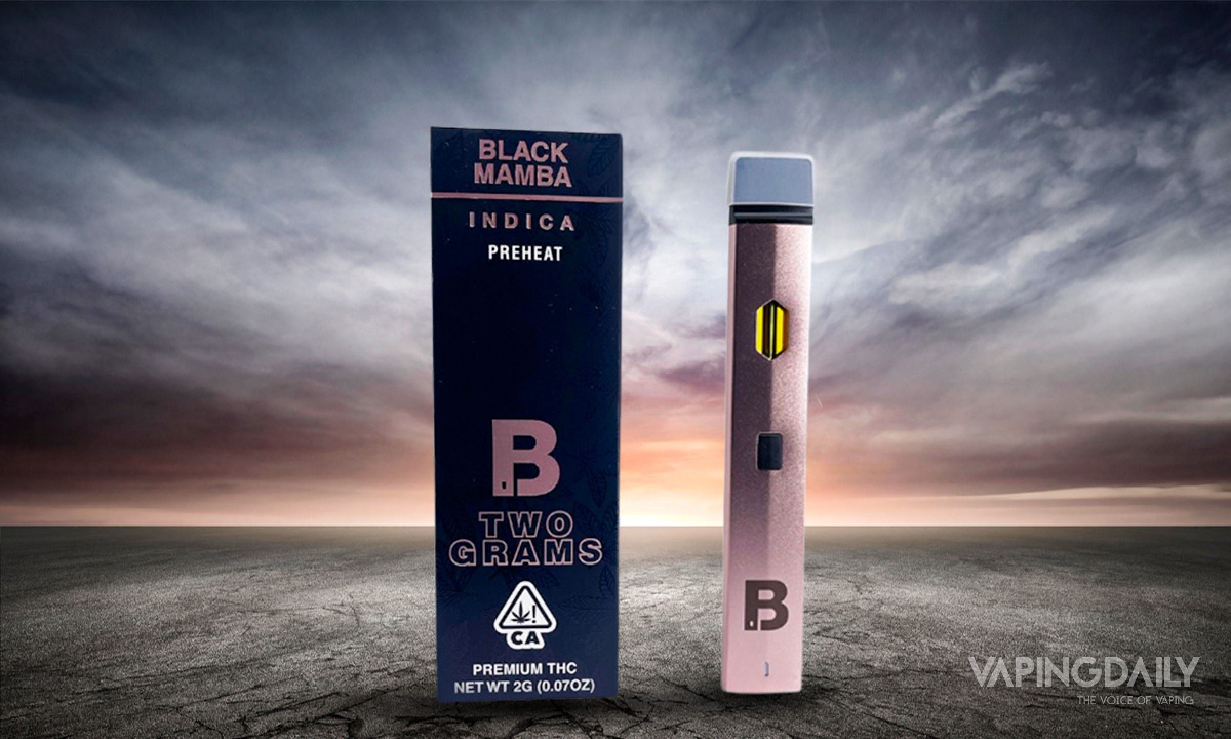 Blinkers Vape Review: Diamonds in Every Disposable